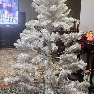 A white Christmas tree medium I already used.